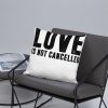 Love is not Cancelled Basic Pillow