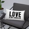 Love is not Cancelled Basic Pillow