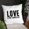 Love is not Cancelled Basic Pillow