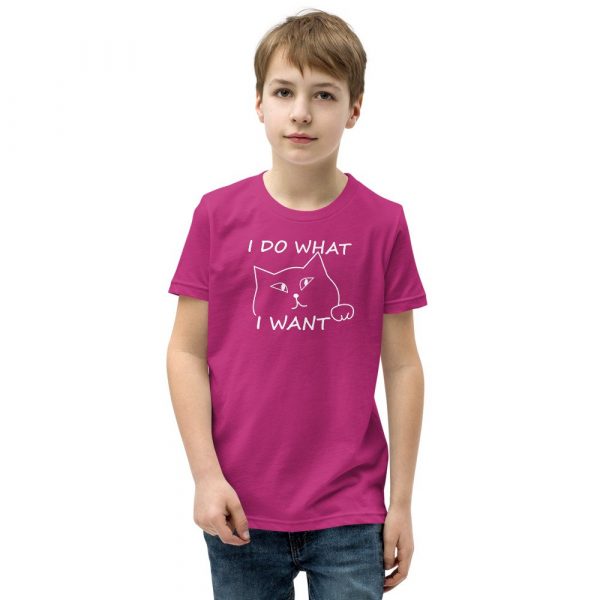 I do what I want with my cat Youth Short Sleeve T-Shirt