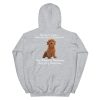 Silence Is Golden Unless You Have A Goldendoodle Funny Unisex Hoodie