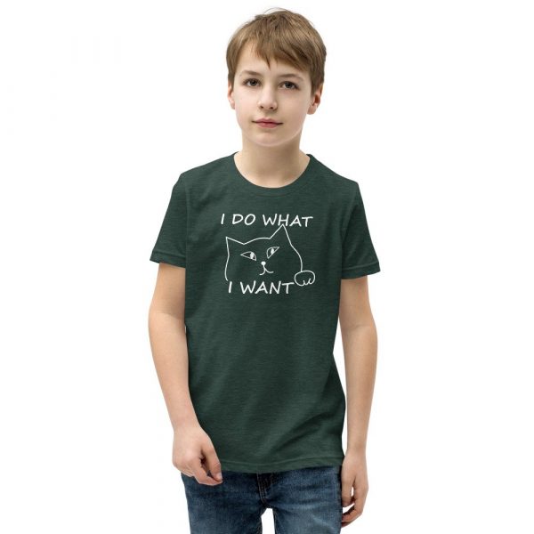 I do what I want with my cat Youth Short Sleeve T-Shirt