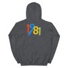 44th Birthday Gifts For Men And Women 1981 Unisex Hoodie