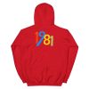 44th Birthday Gifts For Men And Women 1981 Unisex Hoodie