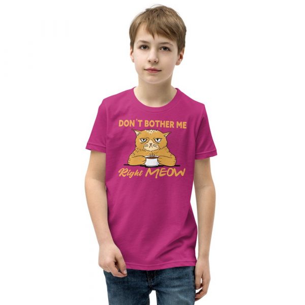 Don’t Bother Me Right Meow – Coffee Cat Humor Youth Short Sleeve T-Shirt